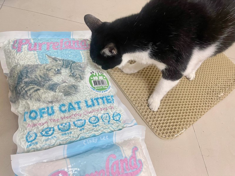 女人知己試用大隊,口碑行銷,部落客行銷,PurreLand 倍淨豆腐貓砂,好市多購買,COSTCO購買,豆腐貓砂,PurreLand倍淨,低粉塵,易清理,可沖馬桶,提供絕佳的除臭與凝結力,豆腐貓砂評價,貓砂評價,使用心得,貓砂分享,好用,原味,綠茶,豆腐砂,水量需完全覆蓋貓砂,水量需貓砂的2~3倍以上,豆腐砂評價,高CP值,划算